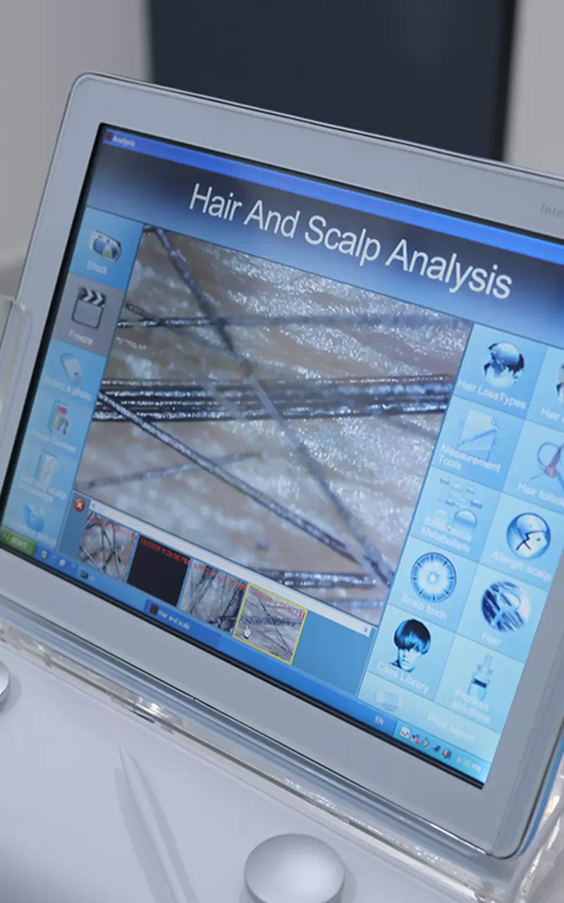 FAZE - Life Without Limits